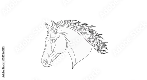 Elegant Equine: An illustration showcases the refined profile of a majestic horse, its sleek lines and flowing mane representing the beauty and strength of the animal.