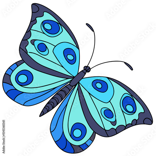 butterfly vector illustration