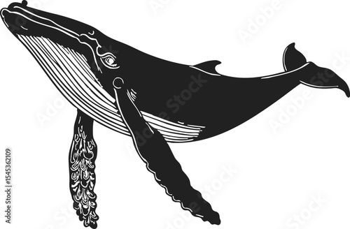 Blue Whale old fashioned drawing, outline illustration captures the majestic creature swimming gracefully in the ocean depths in a vintage engraving style