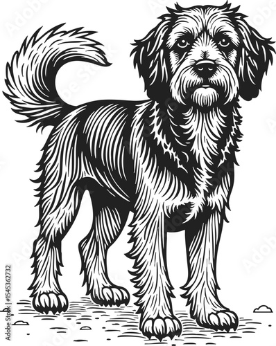 Cava Tzu hand drawn engraving showcasing a charming and fluffy dog with a playful stance in detailed vintage style
