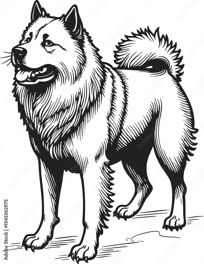 Fototapeta premium Chow Chow vintage engraving showcasing a proud and majestic dog in intricate detail with a vintage design