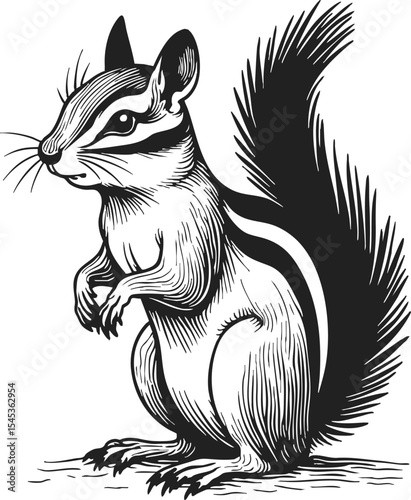 Chipmunk line art vector showcasing a vintage engraving style, highlighting a charming chipmunk in a classic tattoo design