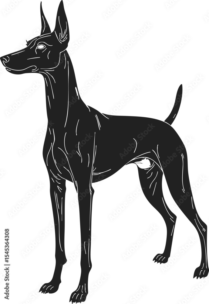 Obraz premium German Pinscher black engraving silhouette showcasing a detailed outline vector of an alert dog standing in a poised position, perfectly illustrating its elegant form
