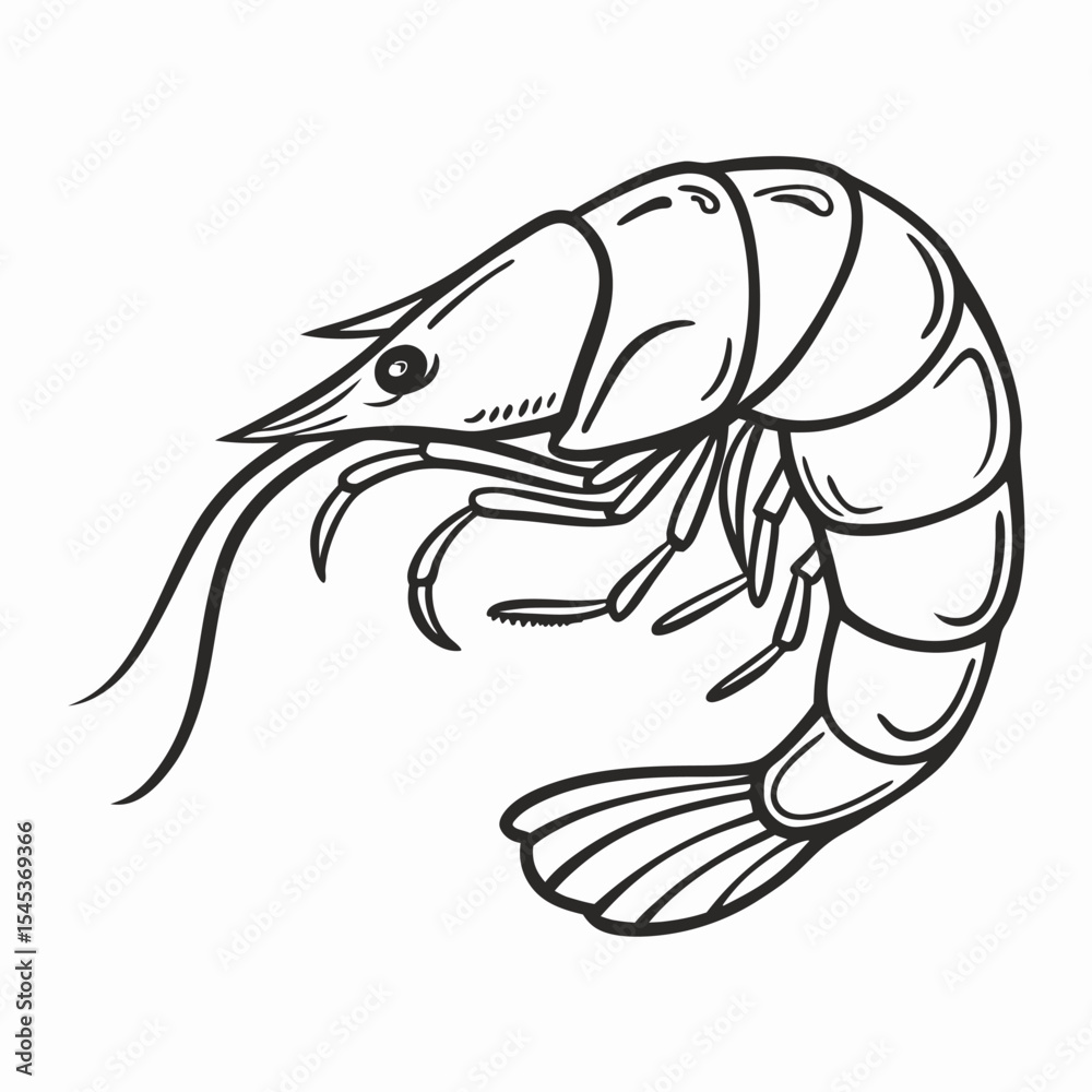 Fototapeta premium Line Art Shrimp Drawing, Seafood Illustration, Black and White Shrimp Graphic
