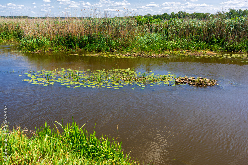 Lato w Narwiańskim Parku Narodowym, Podlasie, Polska Lato w Narwiańskim Parku Narodowym, Podlasie, Polska