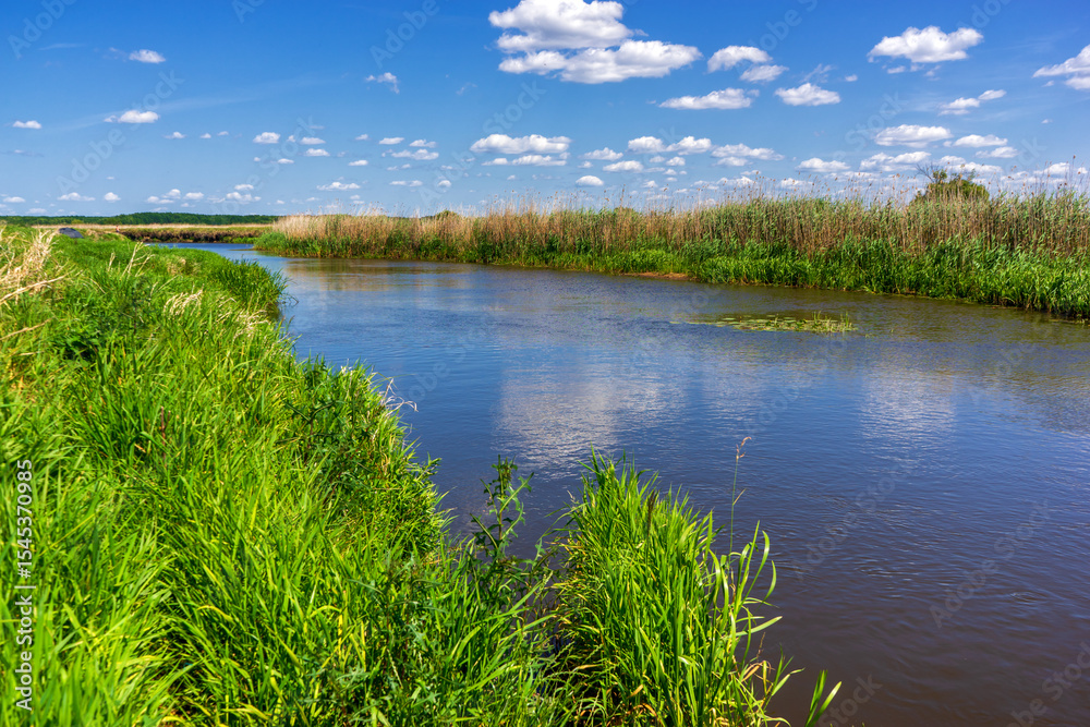 Lato w Narwiańskim Parku Narodowym, Podlasie, Polska Lato w Narwiańskim Parku Narodowym, Podlasie, Polska