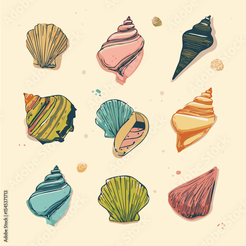 Vector illustration set of seashells