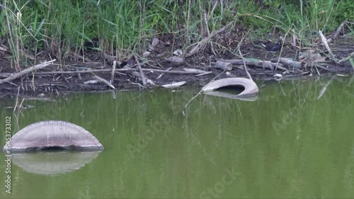 River pollution with old tires and bottles on the shore, highlighting an environmental issue