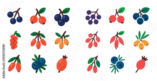 Colorful Berry Icons