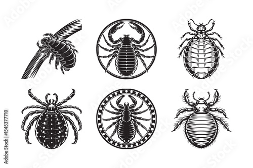 silhouette of insects louse set bundle on the white background 