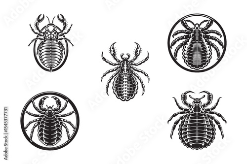  silhouette of insects louse set bundle on the white background 