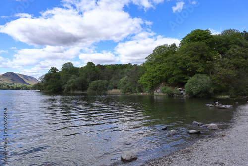 Shoreline of Grasmere Lake with scattered rocks, green trees, calm water and surrounding hills under a partly cloudy sky. Lake District, England, UK.