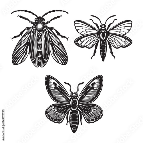   silhouette of insects set bundle on the white background 