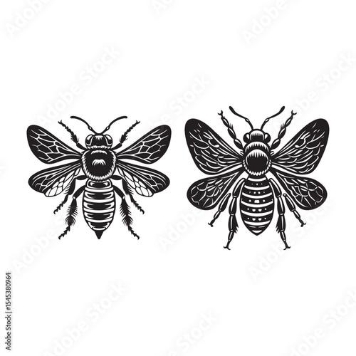 silhouette of insects Bee bundle on the white background 