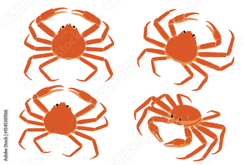 Snow crab Vector logo eps 10. background, perfect for wallpaper or design elements	