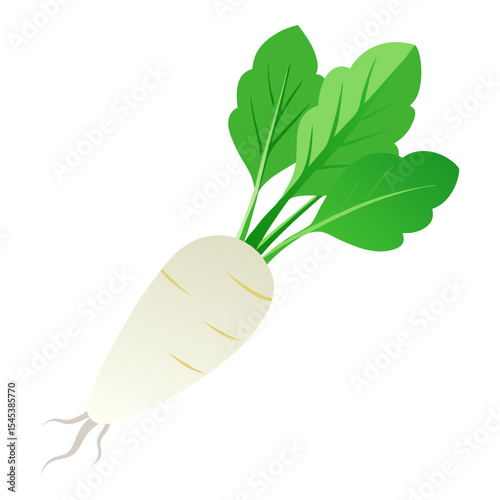 Illustration of daikon radish with green leaves fresh vegetable healthy food ingredient asian cuisine