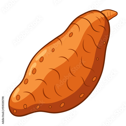 Illustration of a sweet potato yam vegetable root crop healthy food orange color drawing art