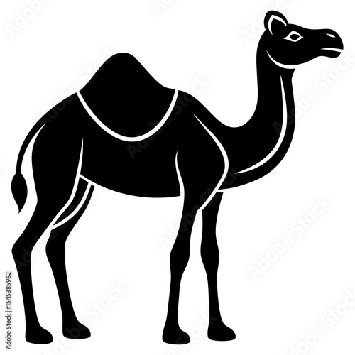 Camel silhouette isolated on white background