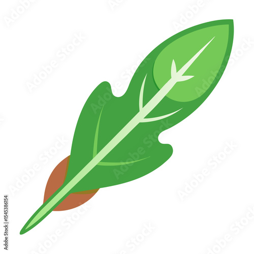 Illustration of green leaf vector, spinach leaf, vegetable leaf, organic leaf, fresh leaf