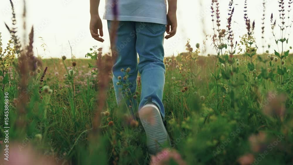 Boy child walks on grass with flowers in summer in park. Legs child stepping on green grass on lawn. Children play in park on vacation. Happy child relaxes in summer in flower field, outdoor. Travel