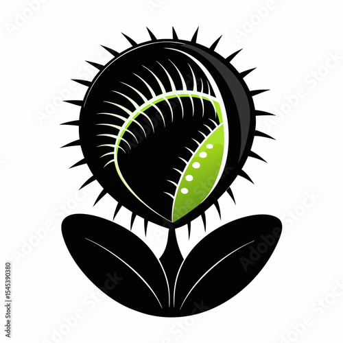 Venus flytrap carnivorous plant isolated on white background