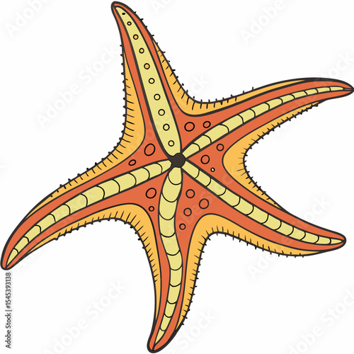 Orange and Yellow Starfish Illustration on White Background Detailed Design with Circular Patterns sea star