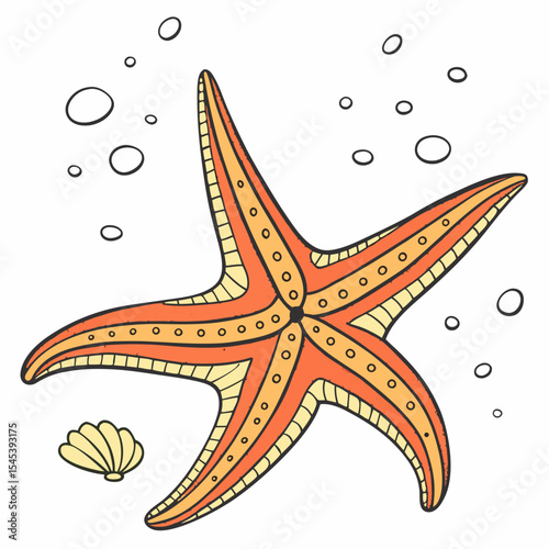 Orange and Yellow Starfish with Shell on White Background Hand Drawn Illustration sea star orange starfish
