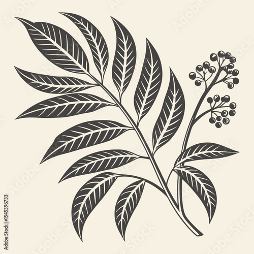 Flat vector Illustration of a foliage plant	