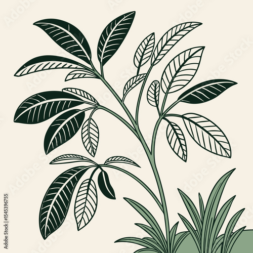 Flat vector Illustration of a foliage plant	