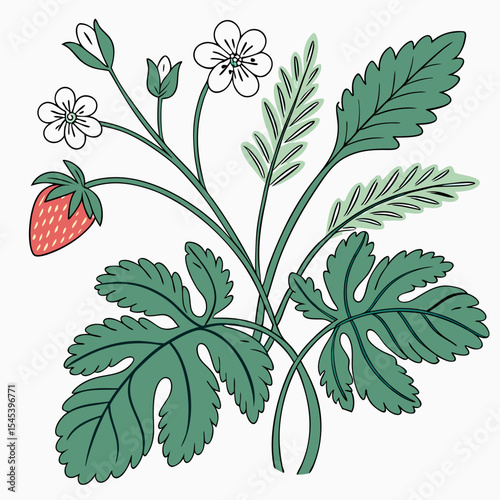 Flat vector Illustration of a foliage plant	