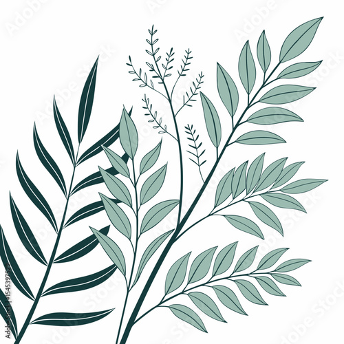 Flat vector Illustration of a foliage plant	
