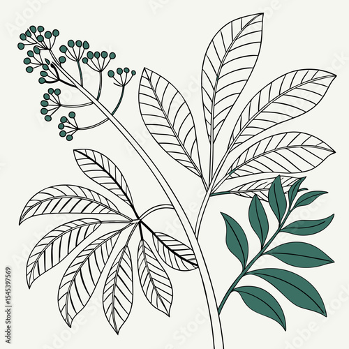 Flat vector Illustration of a foliage plant	