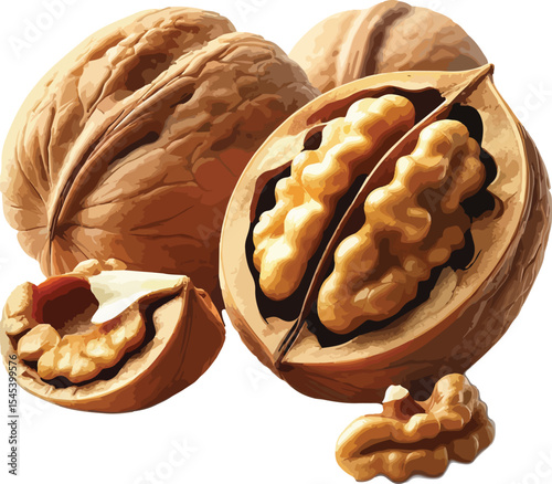 Delicious walnuts with cracked shells showing healthy nut kernels on a white background
