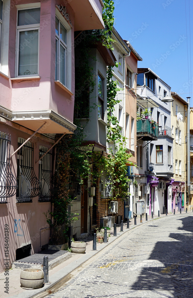 Fototapeta premium Colorful Balat houses brighten Istanbul’s historic neighborhood