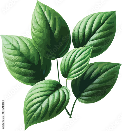 Vector illustration of lush green leaves on a stem isolated on a bright white background