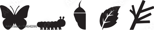 The life cycle of a butterfly depicted with simple silhouettes and icons