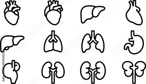 Line art illustration of human organs including heart liver and kidneys