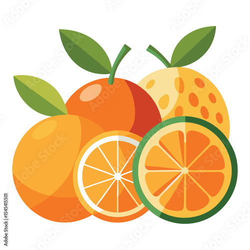 Digital vector illustration of six citrus fruits including lemon, lime, orange, grapefruit, tangerine, and pomelo. Perfect for food design, nutrition visuals, and organic product packaging.