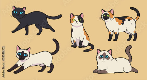 Adorable cat breeds collection. Cute cats illustrations include calico, black, and Siamese cats. Collection of charming cat breeds for pet shops, veterinary clinics, or pet food packaging.
