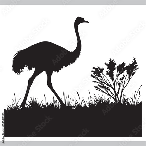 Ostrich vector cartoon silhouette illustration of bird wildlife