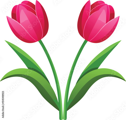 Vibrant Pink Tulips A Pair of Spring Blossoms