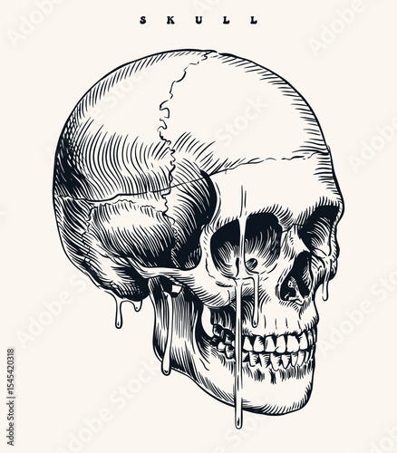 Melting Skull vector in Profile View with Intricate Black and White Line Art, Dripping Textures, and Vintage Engraving Tattoo Style