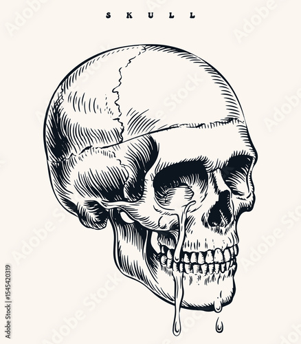 Melting Skull vector in Profile View with Intricate Black and White Line Art, Dripping Textures, and Vintage Engraving Tattoo Style