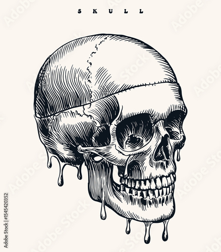 Melting Skull vector in Profile View with Intricate Black and White Line Art, Dripping Textures, and Vintage Engraving Tattoo Style