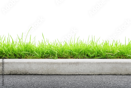 Green grass growing next to concrete curb and asphalt pavement, isolated on transparent background