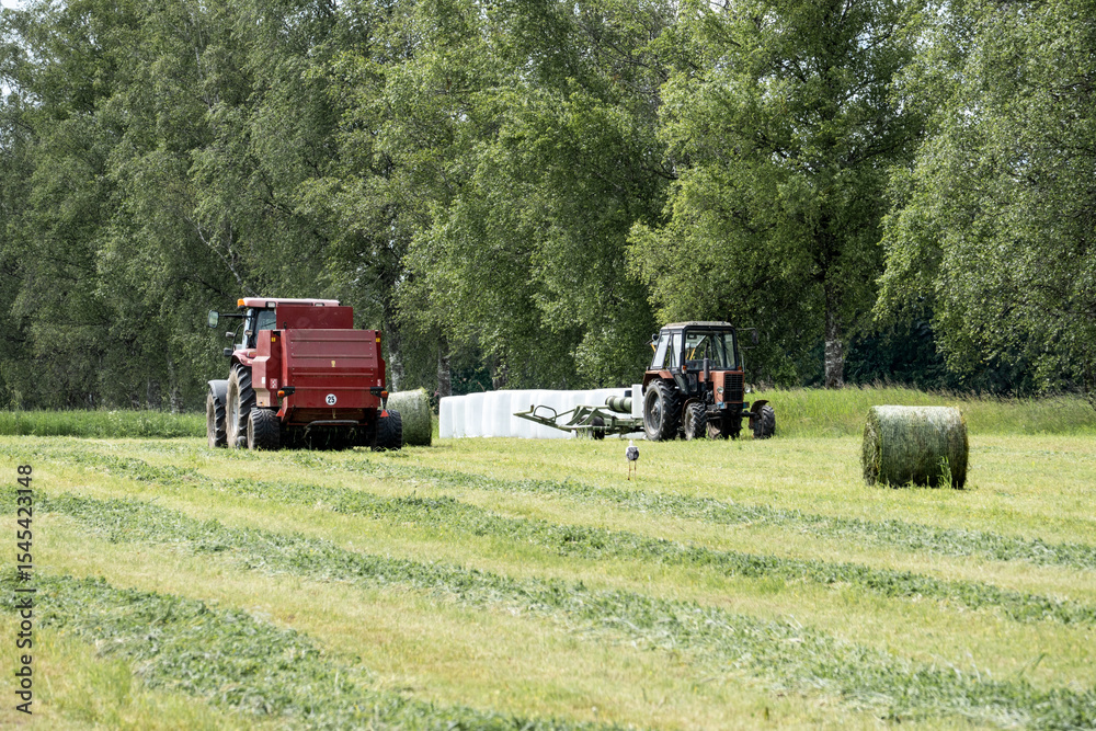 Obraz premium Tractors and Stork in Hayfield During Silage Production – Rural Life and Nature Harmony Concept