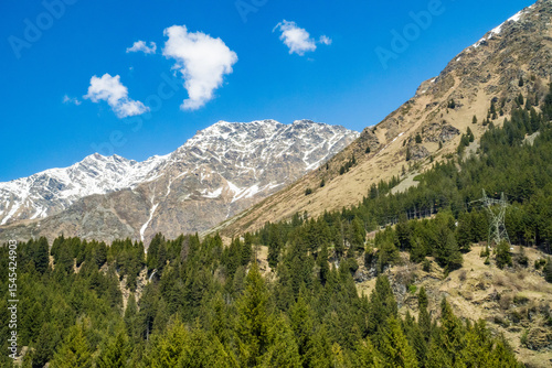 Idyllic landscape in the Alps with fresh green meadows and mountain peaks.