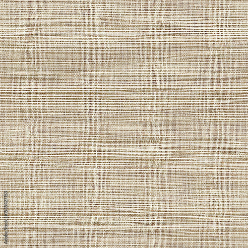 a neutral grasscloth texture with natural woven lines and a soft, earthy palette. Ideal for interior design mockups, digital papers, branding materials, or scrapbooking. adds warmth and organic depth