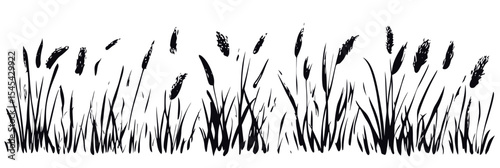 Hand drawn black ink brush sketch of tall grass field with wild wheat ears and organic natural texture seamless border vector illustration minimalist style