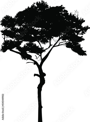black tree with thin stem on white
